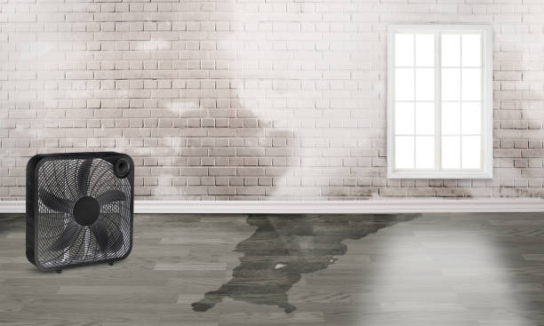 Best Fire Damage Restoration  in Redlands, CA