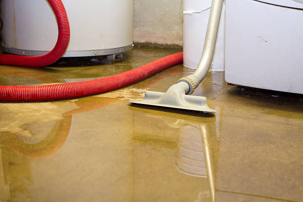 Best Flood restoration services  in Redlands, CA