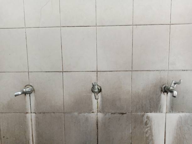 Best Local water damage restoration  in Redlands, CA