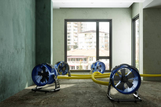 Best Carpet water damage restoration  in Redlands, CA
