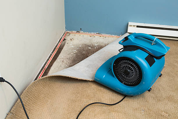 Best Flooded house restoration  in Redlands, CA